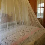 Country house La Verdevilla Anguix
