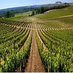 La Verdevilla Country house Anguix