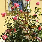 La Verdevilla Country house