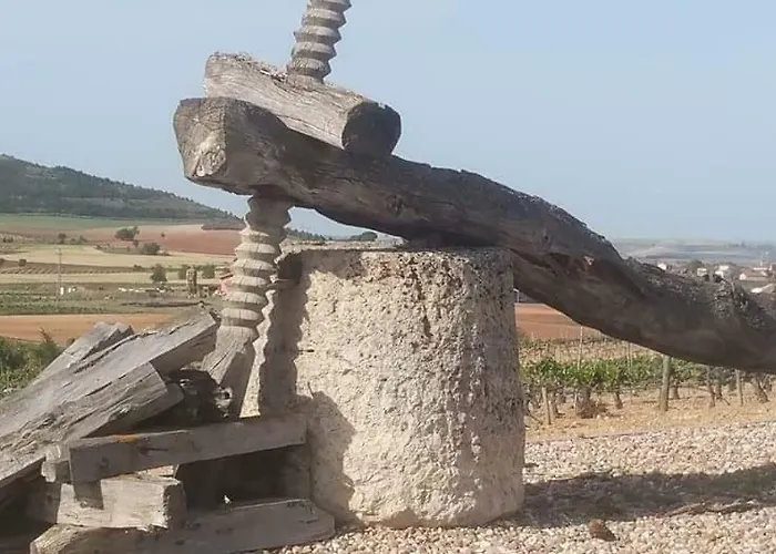 La Verdevilla Anguix