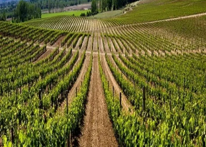 La Verdevilla Lantställe Anguix