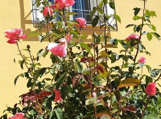 La Verdevilla Lantställe